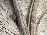 Ferns Castle Oratory Arches